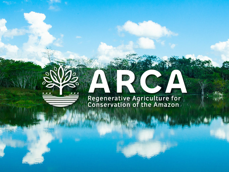 Instituições anunciam programa para alavancar Soluções baseadas na Natureza na Amazônia brasileira